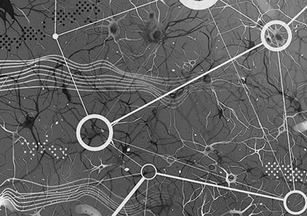 Pozitif Olasılık Başlık